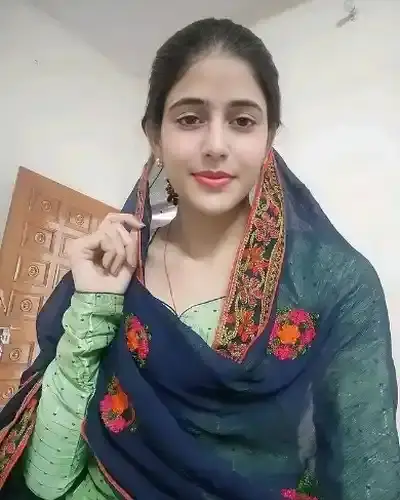 Call Girl Shree Nagar
