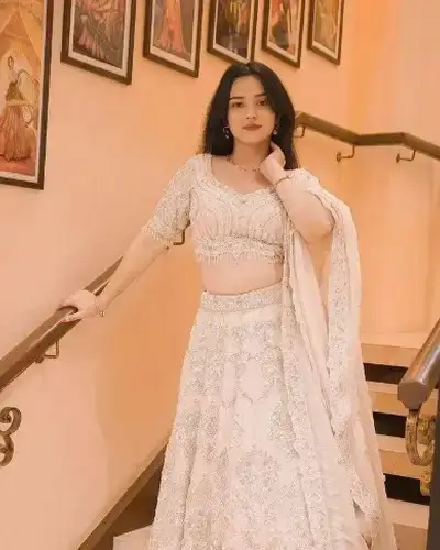 Escort Service In Shree Nagar